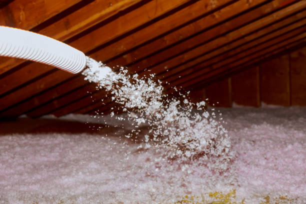 Best Insulation Maintenance and Repair in Picayune, MS