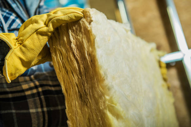 Best Spray Foam Insulation in Picayune, MS
