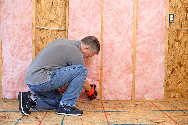 Best Eco-Friendly Insulation in Picayune, MS