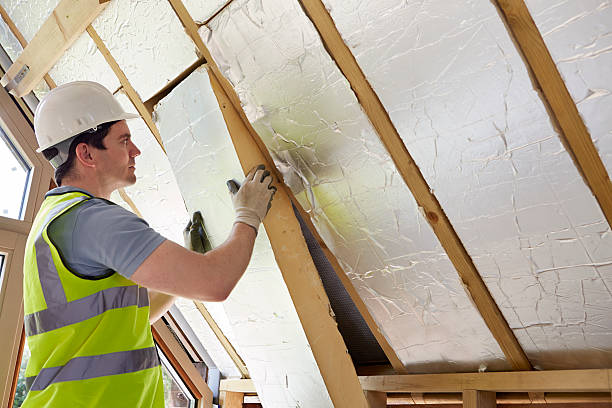 Best Specialized Insulation Services in Picayune, MS
